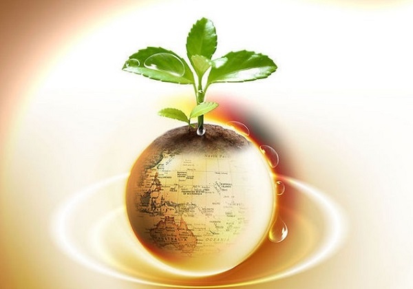 美联储政策预期与市场分歧加剧 美元指数七周新低震荡